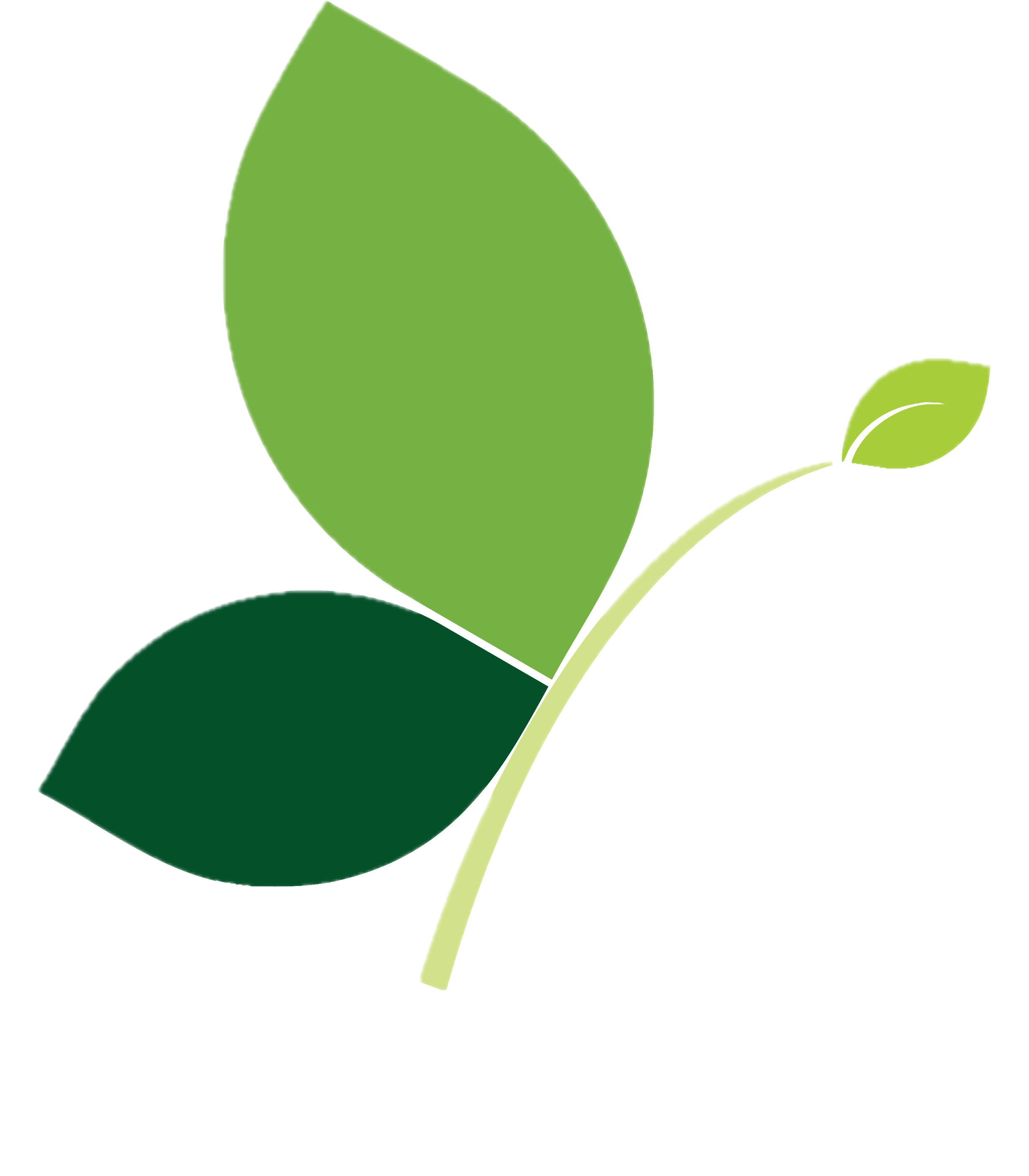Fadume Logo